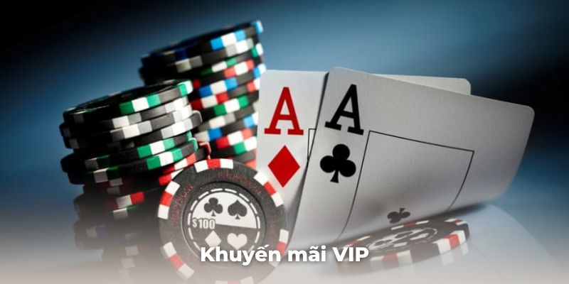 Ưu đãi VIP với các quyền lợi cực kỳ hấp dẫn, có một không hai